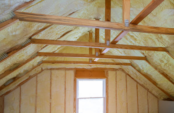 Best Insulation Installation Services in Ransom Canyon, TX