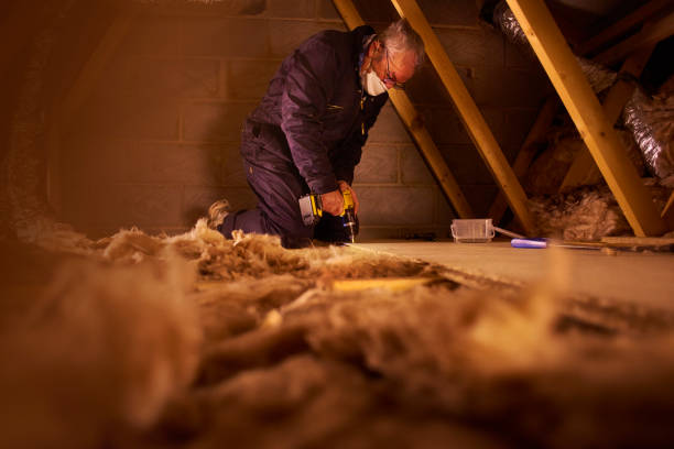 Best Insulation Installation Services in Ransom Canyon, TX
