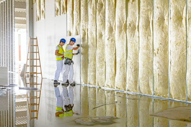 Best Residential Insulation in Ransom Canyon, TX